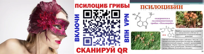 купить закладку Партизанск мега ONION Псилоцибиновые грибы Psilocybe