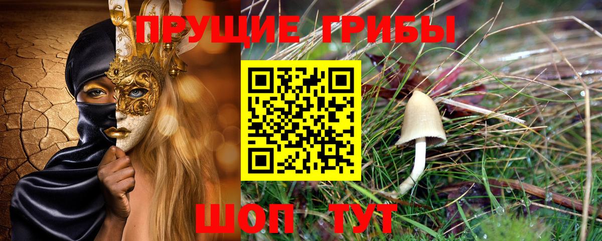 Галлюциногенные грибы Psilocybine cubensis  что такое   Вход с VPN  Партизанск  Галлюциногенные грибы ЛСД 